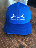 TS Alliance Logo Hat